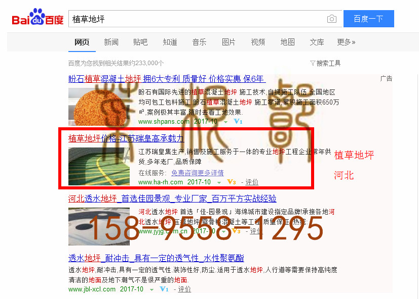 苏州竞价网站托管优化推广公司，菜根谭网络科技有限公司查询瑞皇关键词排名10月10日推广实况案例（2）