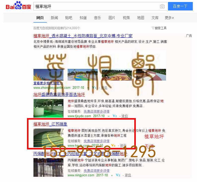 苏州竞价网站托管优化推广公司，菜根谭网络科技有限公司查询瑞皇关键词排名10月16日推广实况案例（2）